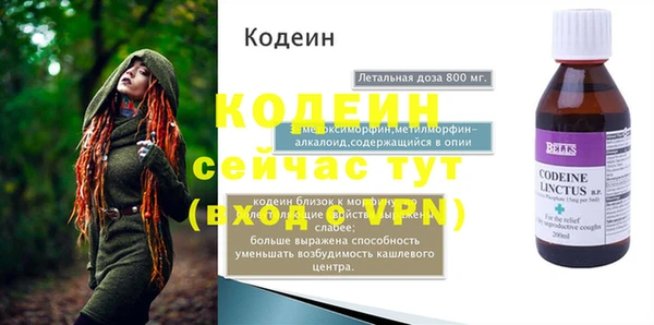 шишки Абаза