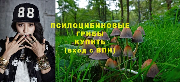 индика Алексин