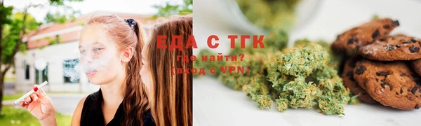 шишки Абаза