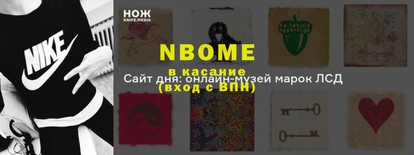 шишки Абаза