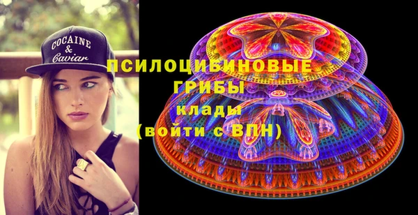 шишки Абаза
