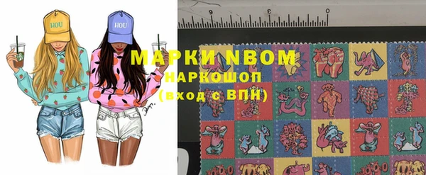 индика Алексин
