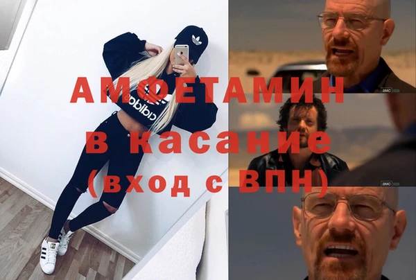 шишки Абаза