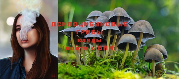 соль ск Абинск